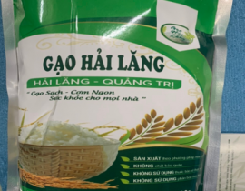 GAO-HAI-LANG.png